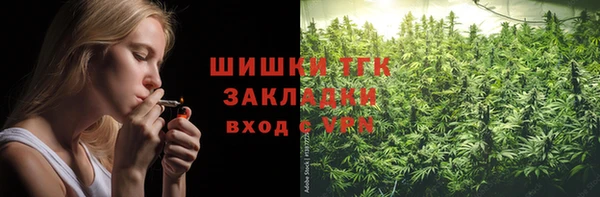 дмт Алексин