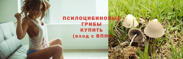 spice Абаза